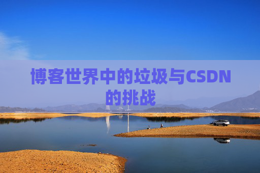 博客世界中的垃圾与CSDN的挑战